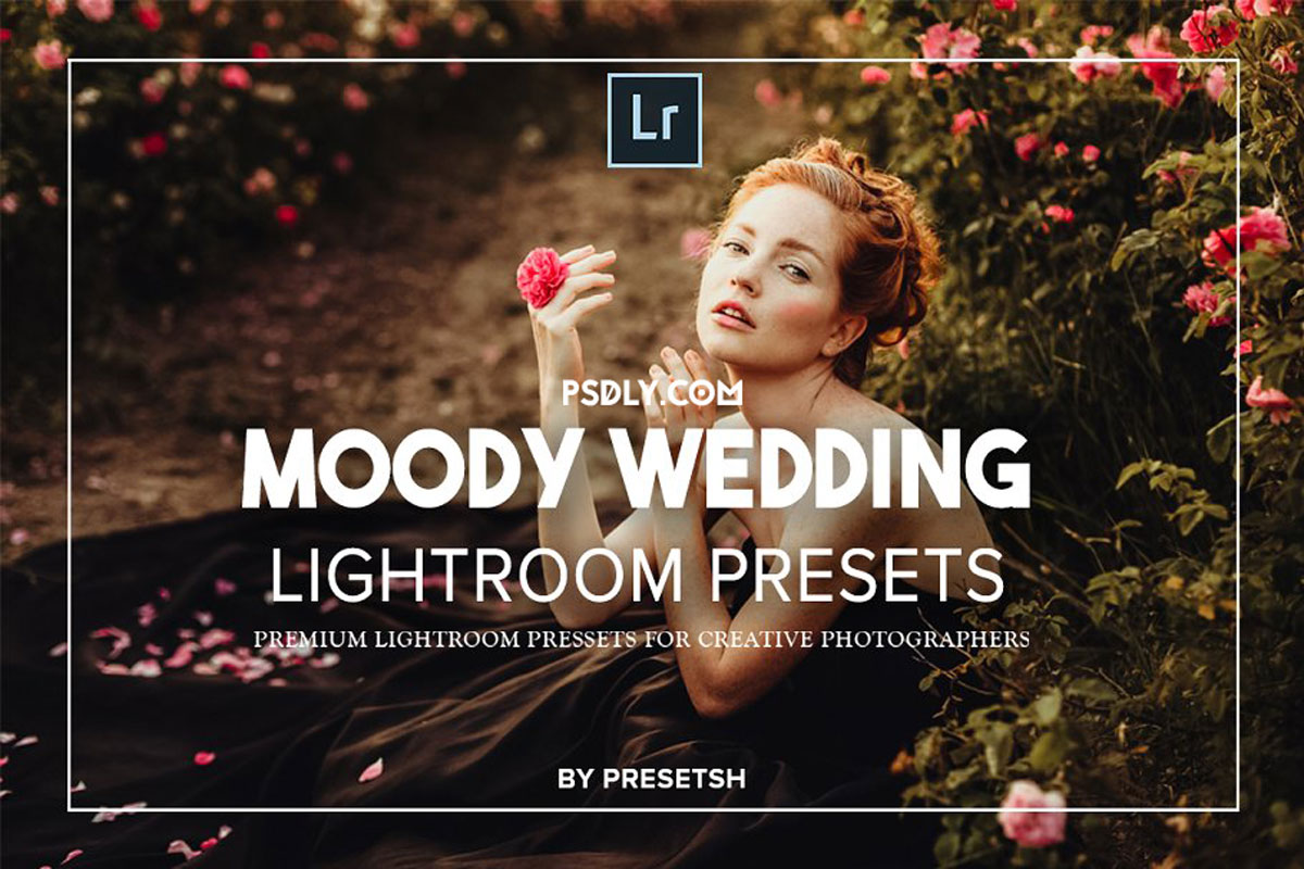 Moody Wedding Lightroom Presets