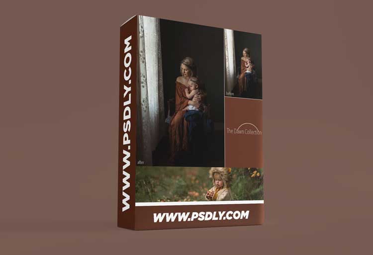 Meg Loeks - The Dawn Collection Presets for Lightroom/ACR