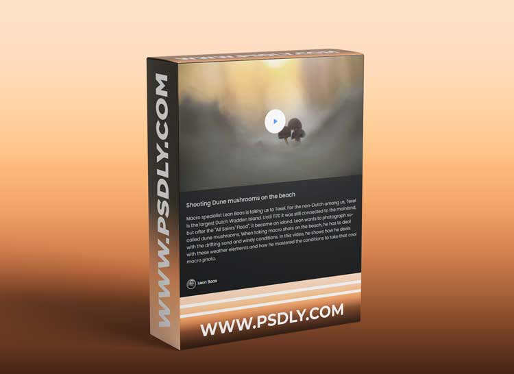 Mango-Ice Photography – Shooting Dune Mushrooms on the Beach