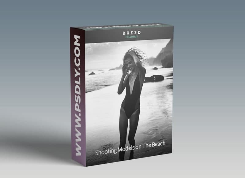 Breed Master Class All Tutorials Bundle