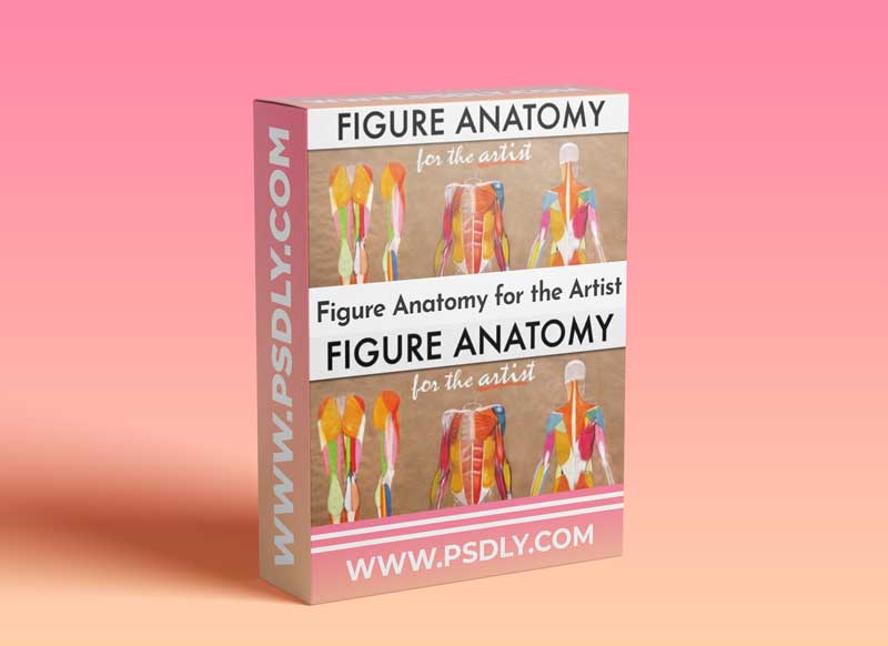 Figure Anatomy for the Artist