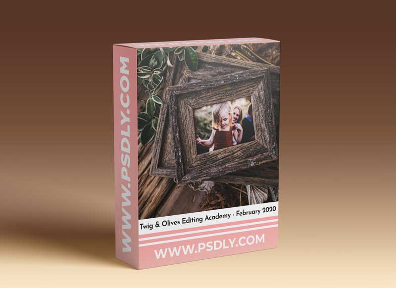 Twig & Olives Editing Academy - February 2020