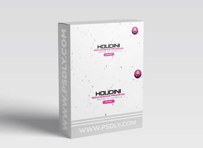 HOUDINI RENASCENCE PROGRAM VOL 1 - THE VFX SCHOOL