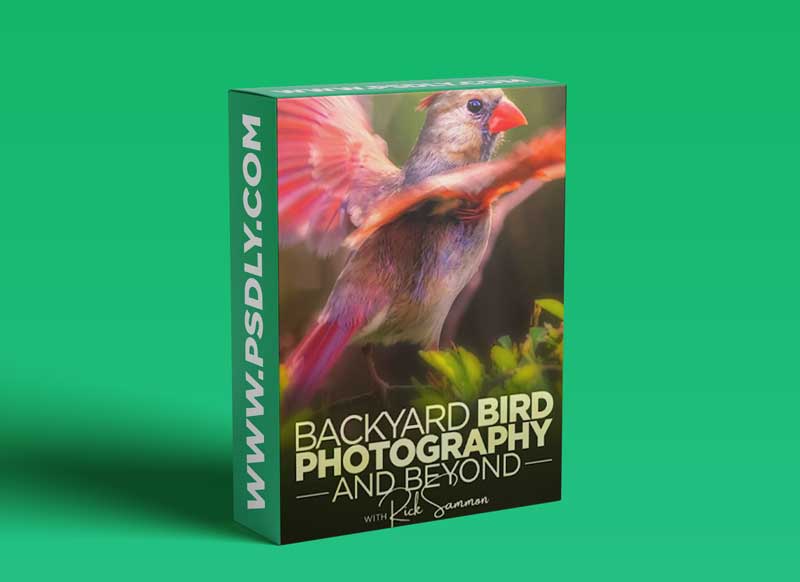 KelbyOne - Backyard Bird Photography and Beyond