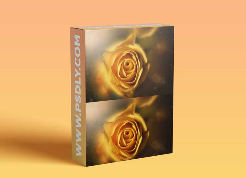 Close Up: Creating Art with a Macro Lens