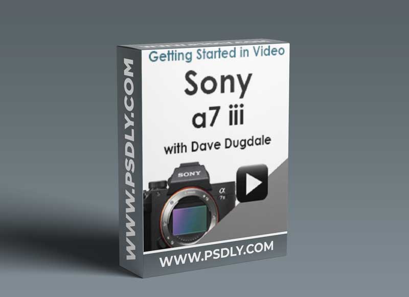 Sony a7iii Getting Started in Video