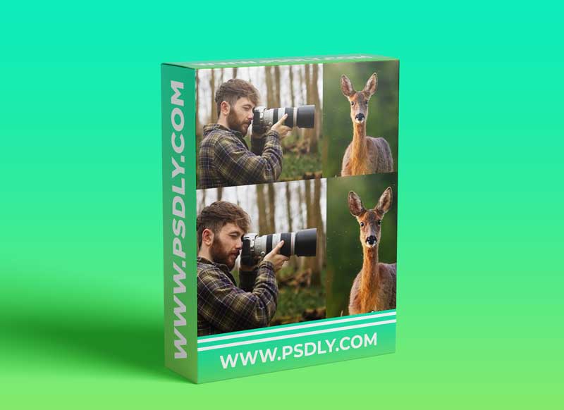 Wildlife Photography: How to Take Captivating Animal Portraits