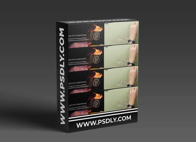 An Introduction to Drawing Fundamentals with Sheldon Borenstein