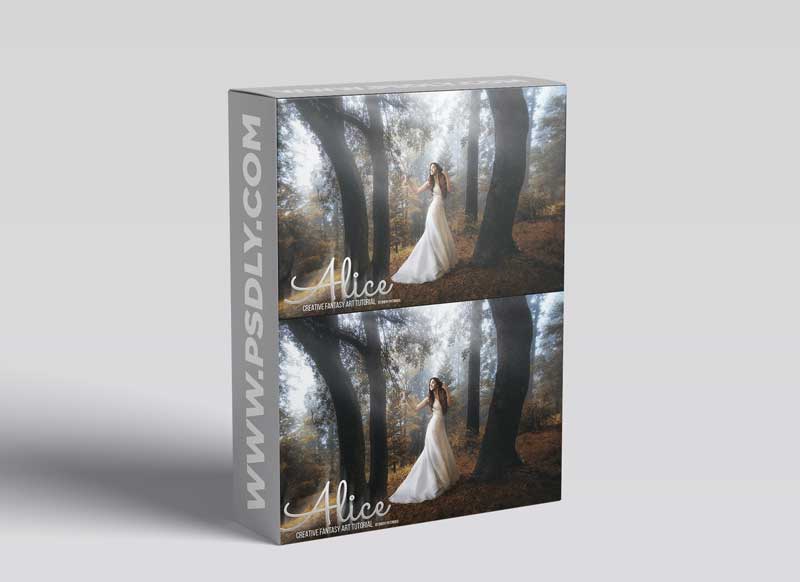 Dheny Patungka - Alice - Art Fantasy Tutorial