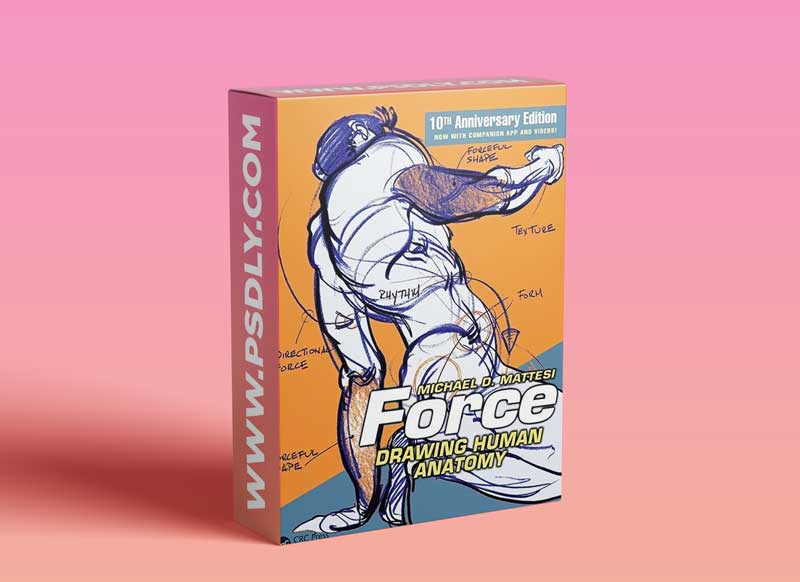 Force Drawing by Michael Mattesi - FORCE Form Video Class