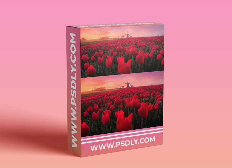 Mango-Ice Photography - Tulips - Post Processing Video