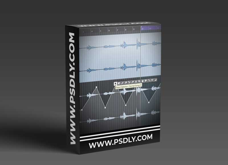 Samplecraze Automation Lanes What Are They and How To Use Them