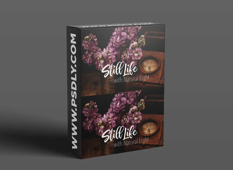 Still Life with Natural Light