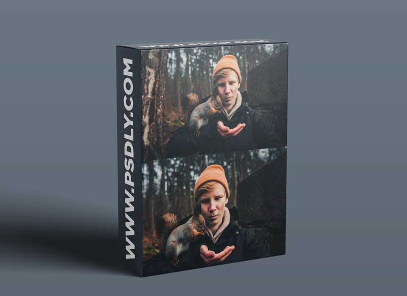 Wildlife Photography: Capturing Portraits of Your Favorite Animals