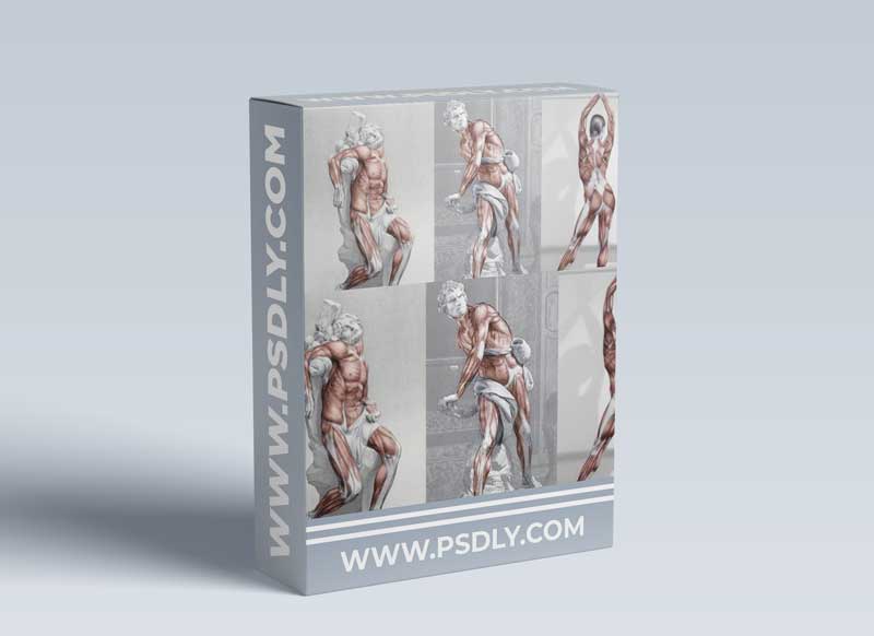 Anatomy of the Masters