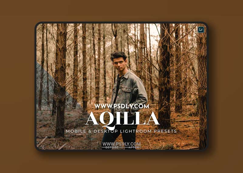Aqilla Mobile and Desktop Lightroom Presets