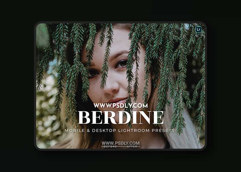 Berdine Mobile and Desktop Lightroom Presets