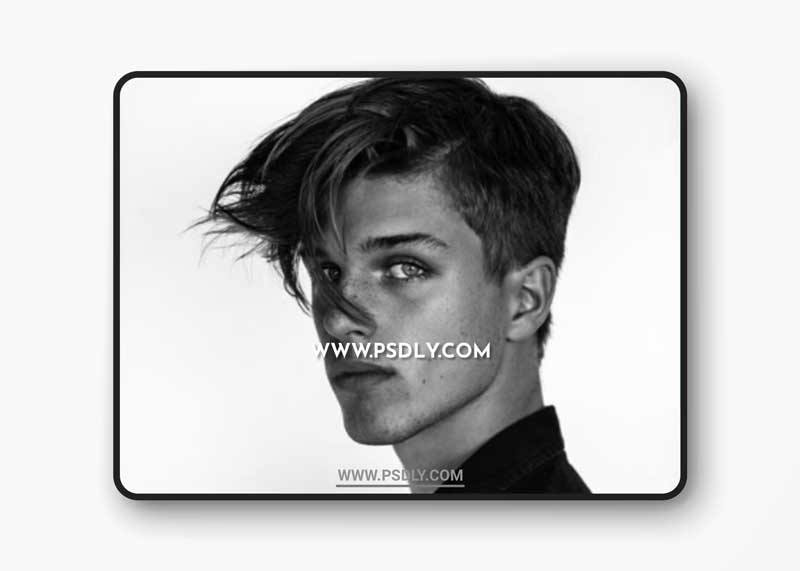 Black & White Silver Metallic Lightroom Presets