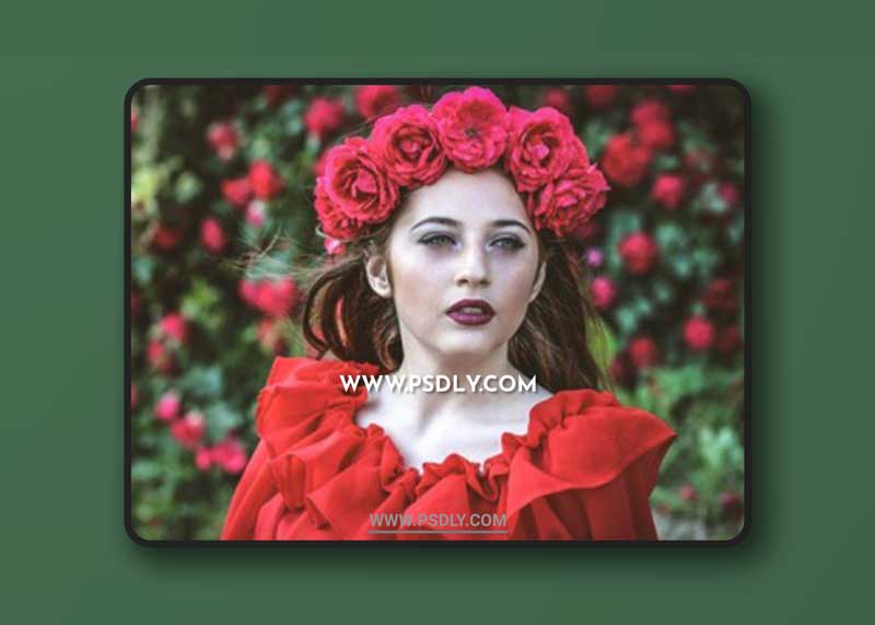 CM - 13 Lightroom Presets for Portraits 1363806
