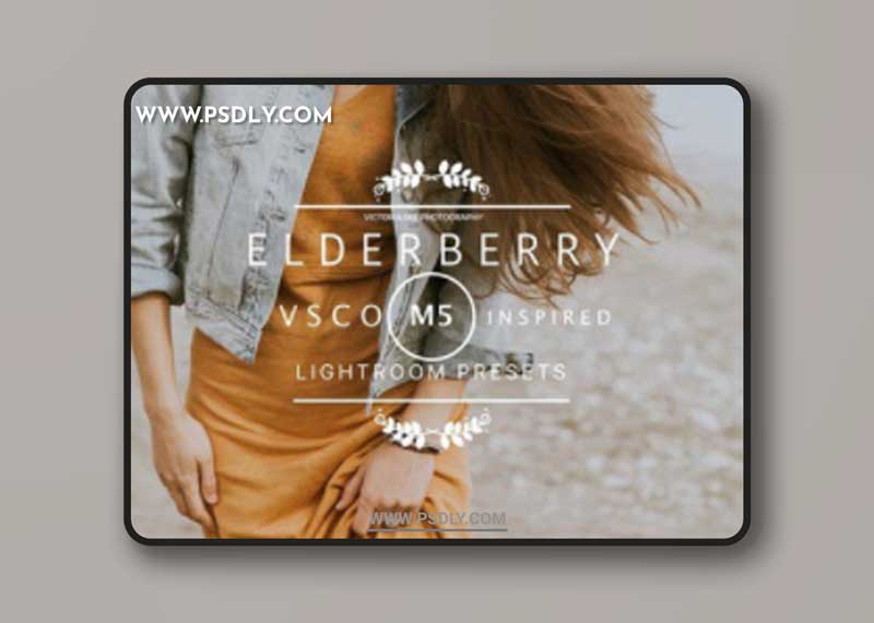 CM - ELDERBERRY VSCO Cam M5 LR preset 2377890