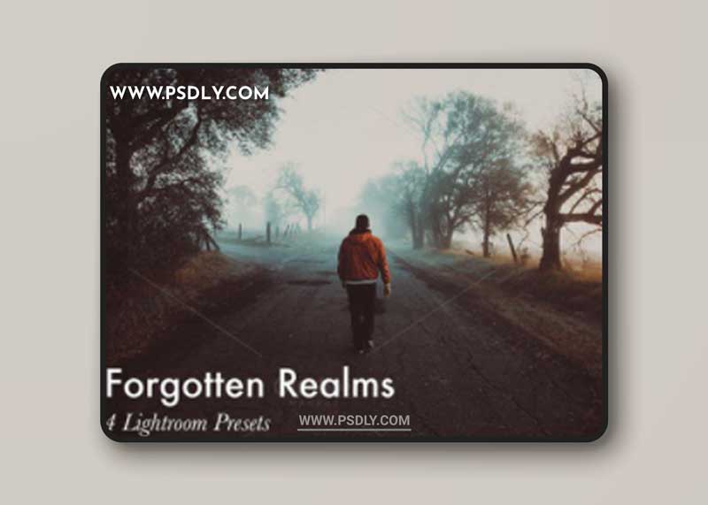 CM - Forgotten Realms-4 Lightroom Presets 400125