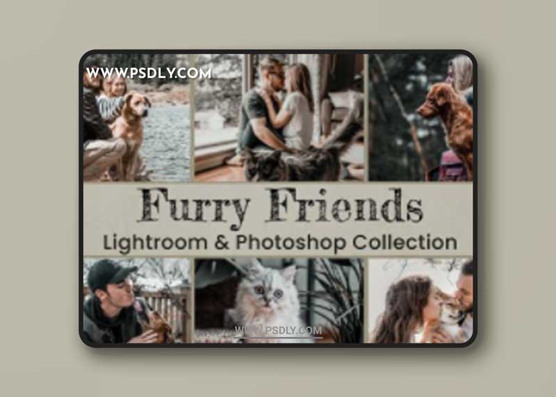 CreativeMarket - 15 Furry Friends Collection 6204182