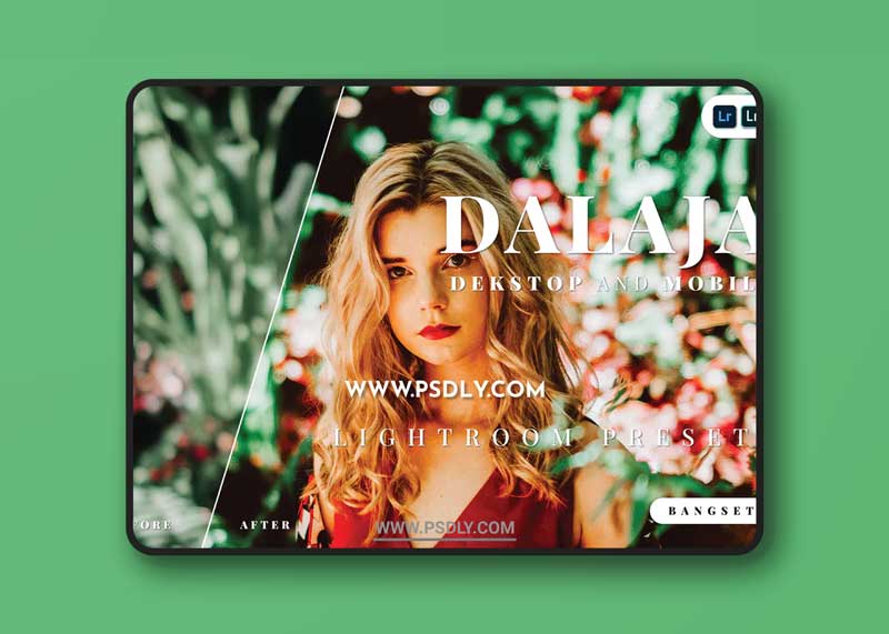 Dalaja Desktop and Mobile Lightroom Preset