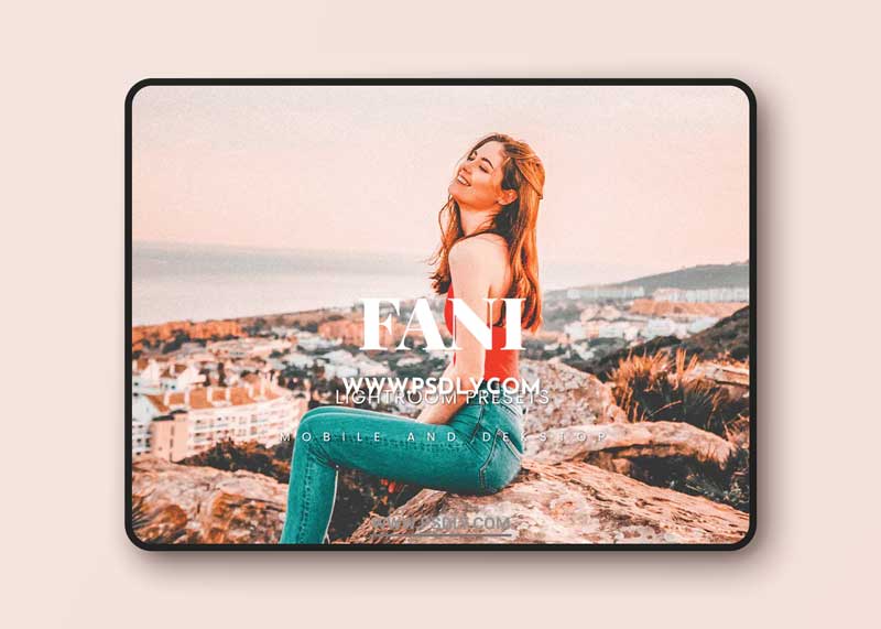 Fani Lightroom Presets Dekstop and Mobile