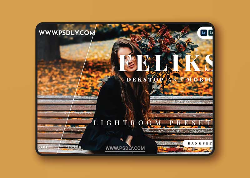 Feliks Desktop and Mobile Lightroom Preset