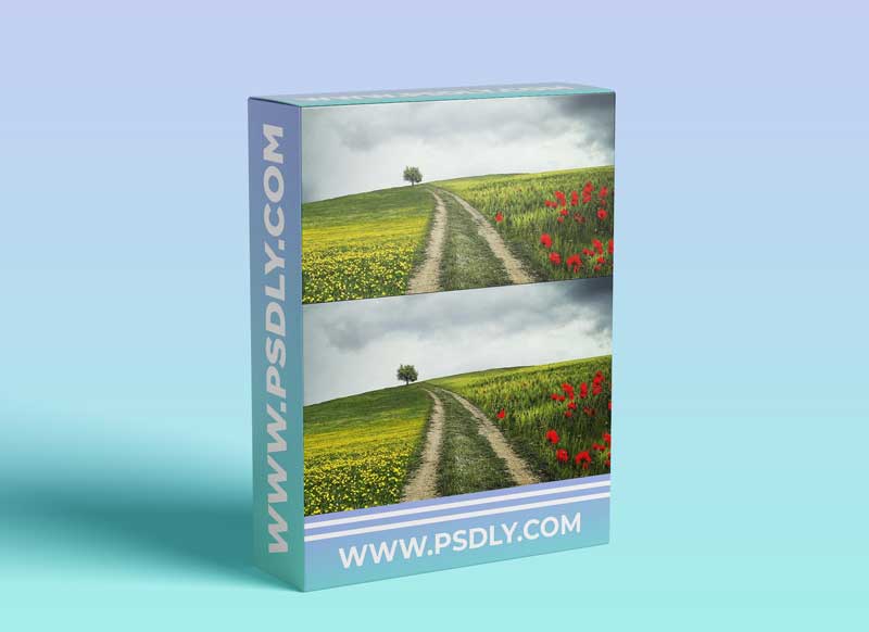 Freemax – HIDDEN POTENTIAL OF “CURVES”