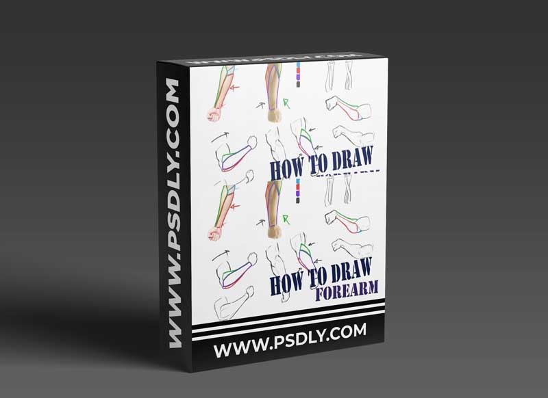 How to Draw - Forearms
