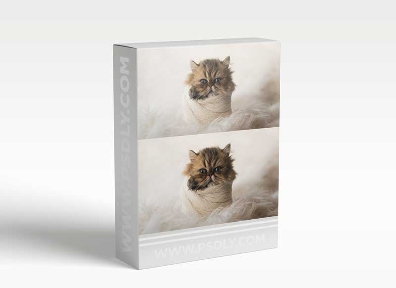 Meg Bitton - Baby Thor