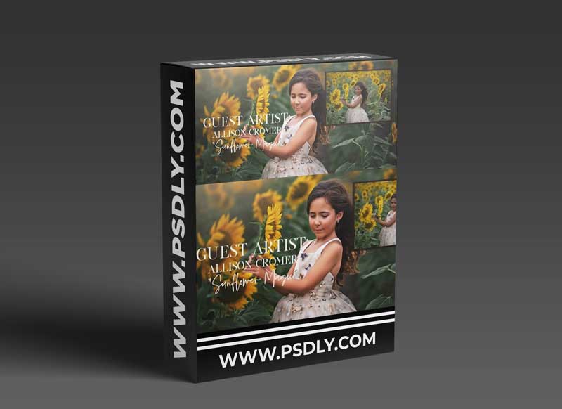 Meg Bitton - Sunflower Magic