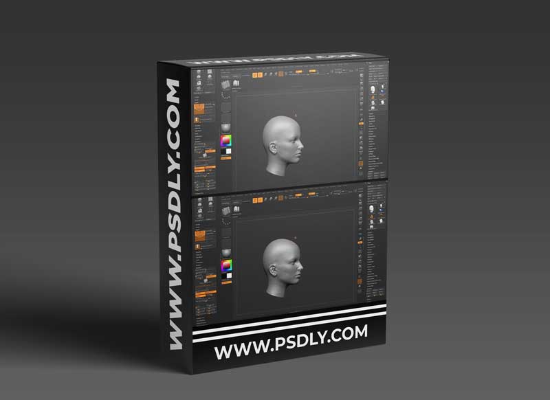 Sculpt And Modelling Your Very Own Custom Hair Brush And Hairstyle To Your 3D Character In Zbrush By Máté Vörös