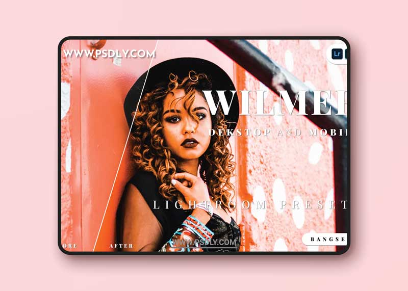 Wilmer Desktop and Mobile Lightroom Preset