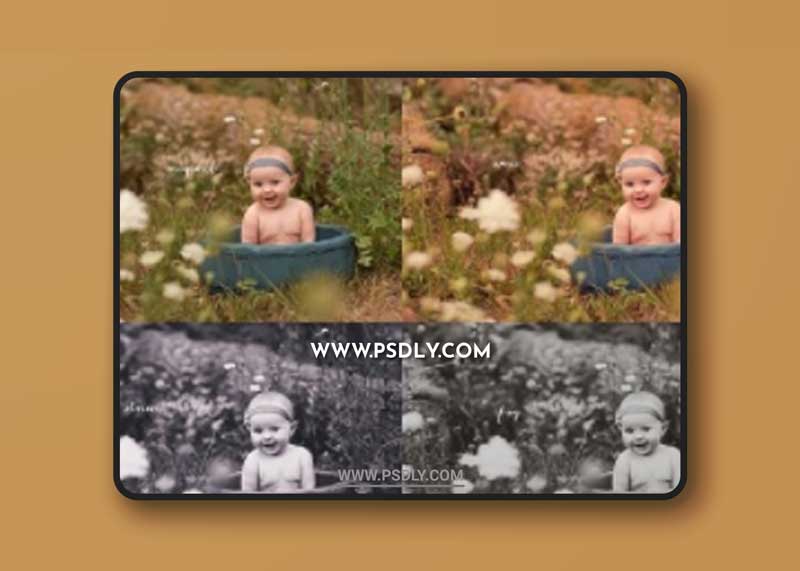 Erin Tole Photography - PRESETS FOR ACR BIG SKY