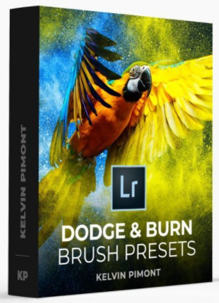 Kelvin Pimont - Dodge & Burn Lightroom Brush Presets