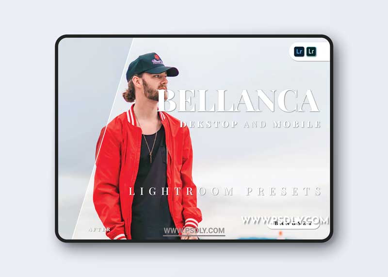 Bellanca Desktop and Mobile Lightroom Preset