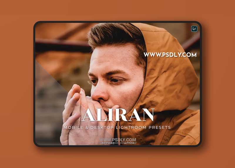 Aliran Mobile and Desktop Lightroom Presets