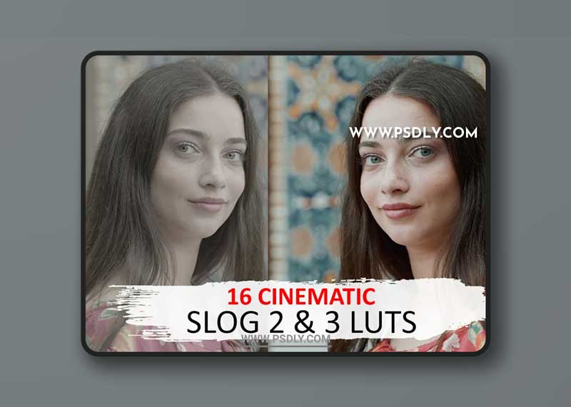 CreativeMarket - Cinematic Luts (Slog2 & Slog3) 4963148