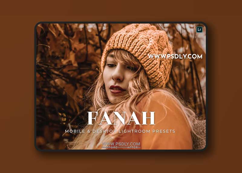 Fanah Mobile and Desktop Lightroom Presets
