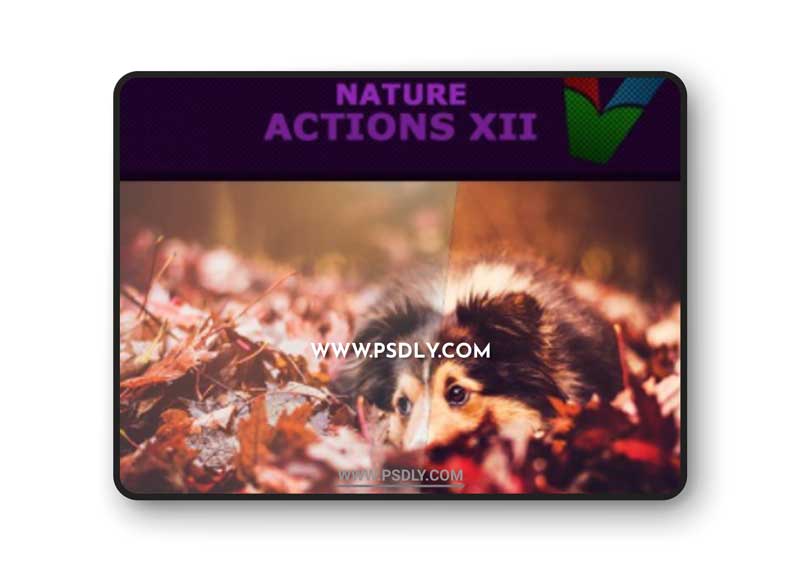 Graphicriver - Nature Actions XII 19162546
