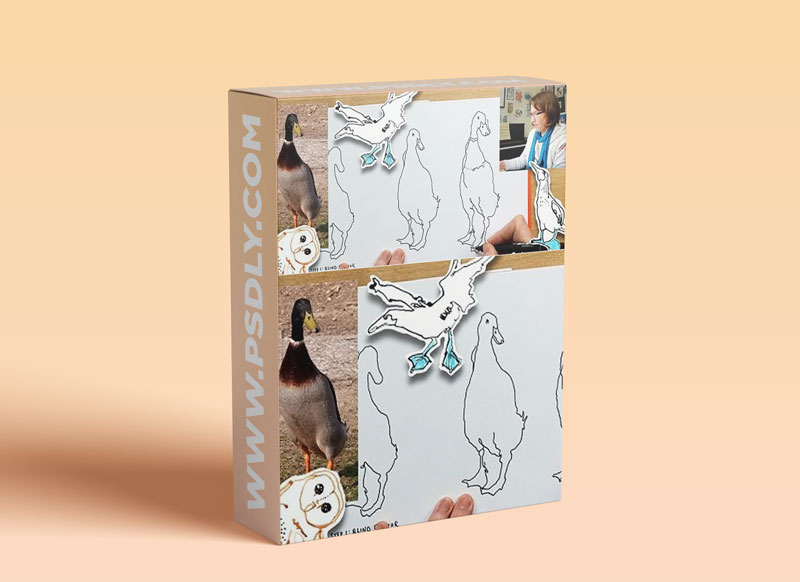 Line Drawing A Three-Step Approach (And a Five-Day Birdacious Bootcamp)