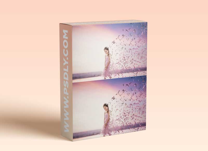 Tara Lesher Education - Lets's Fly Away" Compositing Tutorial