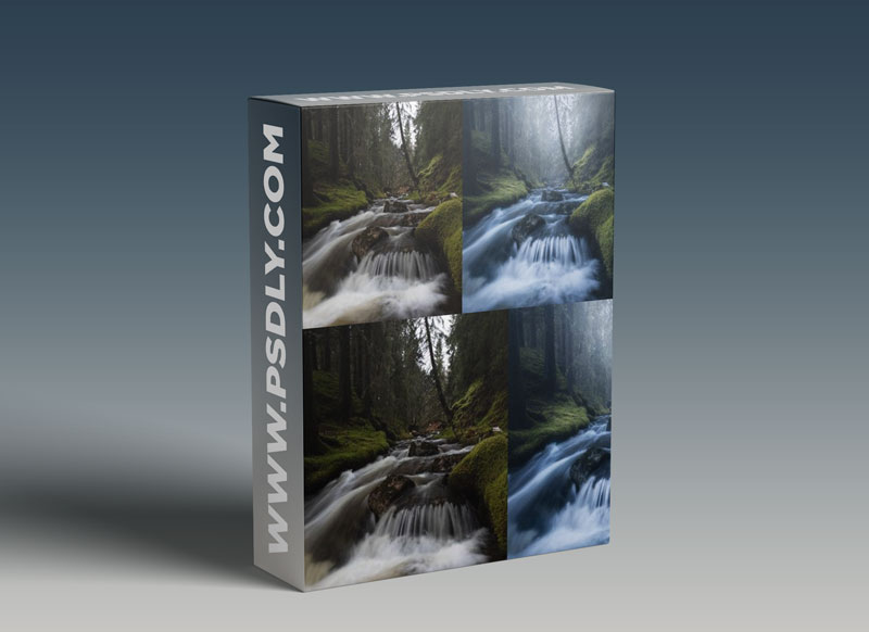 Fredik Stromme - The Misty Forest Edit