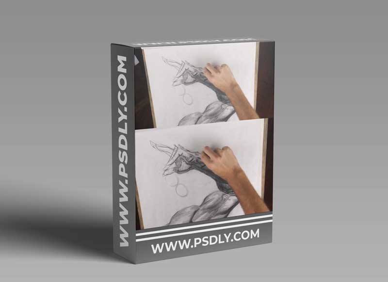 Watts Atelier - Anatomy Intensives - Arms & Legs