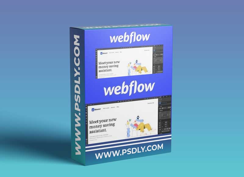 Webflow For Entrepreneurs and UI/UX Designers