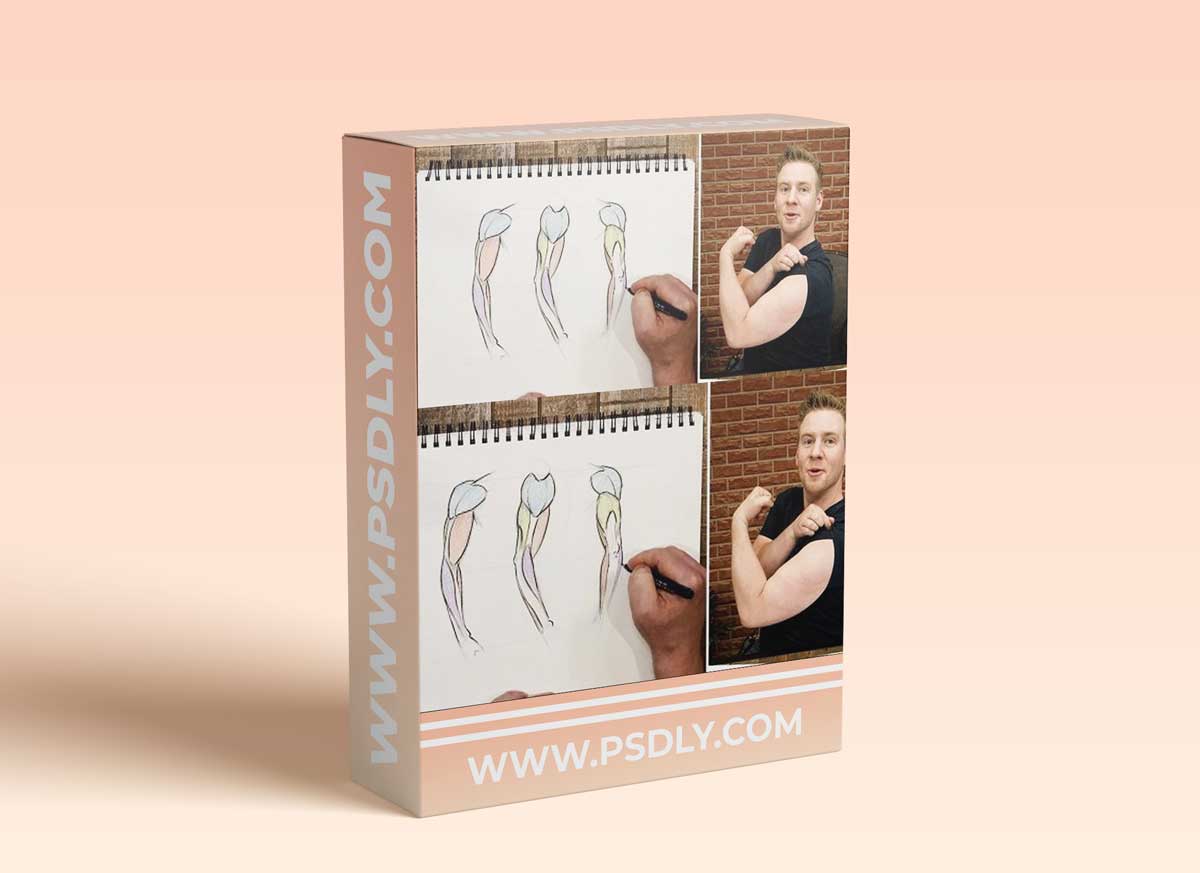 28-Day Drawing Challenge: Anatomy for Illustration and Comics