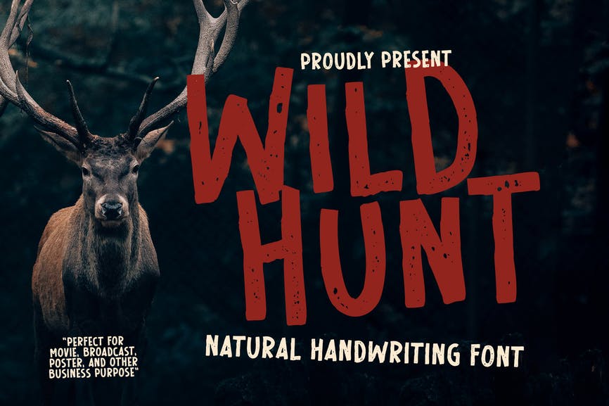 Wild Hunt Advertisement Font