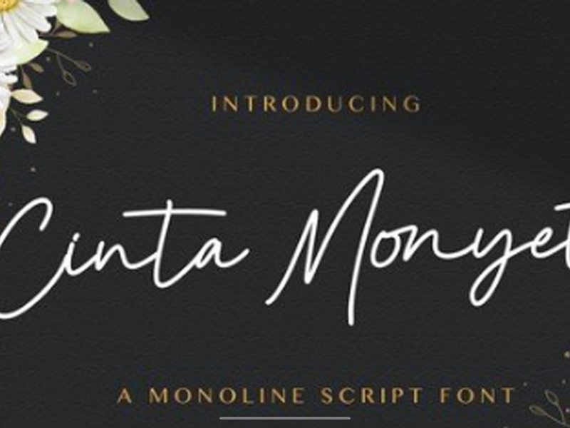 Cinta Monyett - Handwritten Font